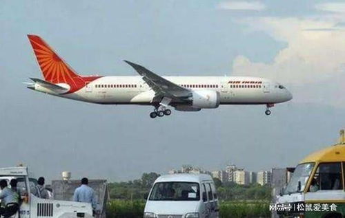 印度航空的飛行與餐桌 從無證駕駛到飛機餐背后的管理危機